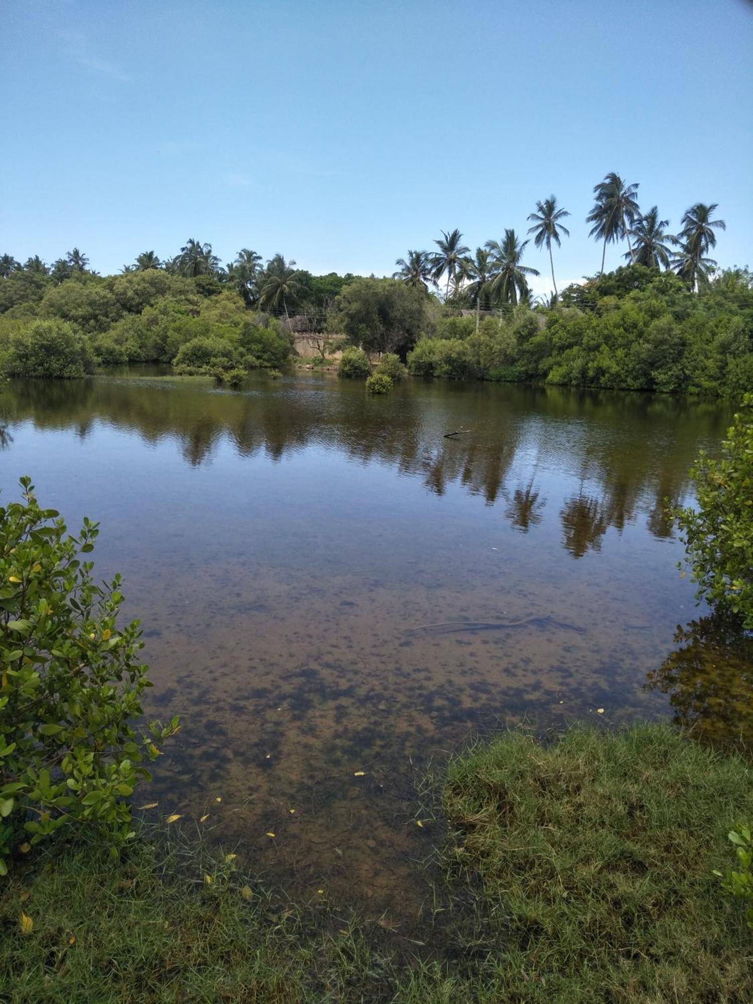 Rock Pool Residence Tangalle Bagian luar foto