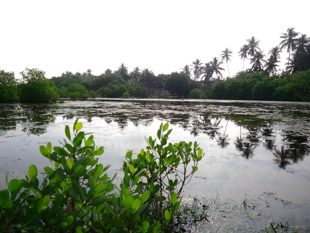 Rock Pool Residence Tangalle Bagian luar foto