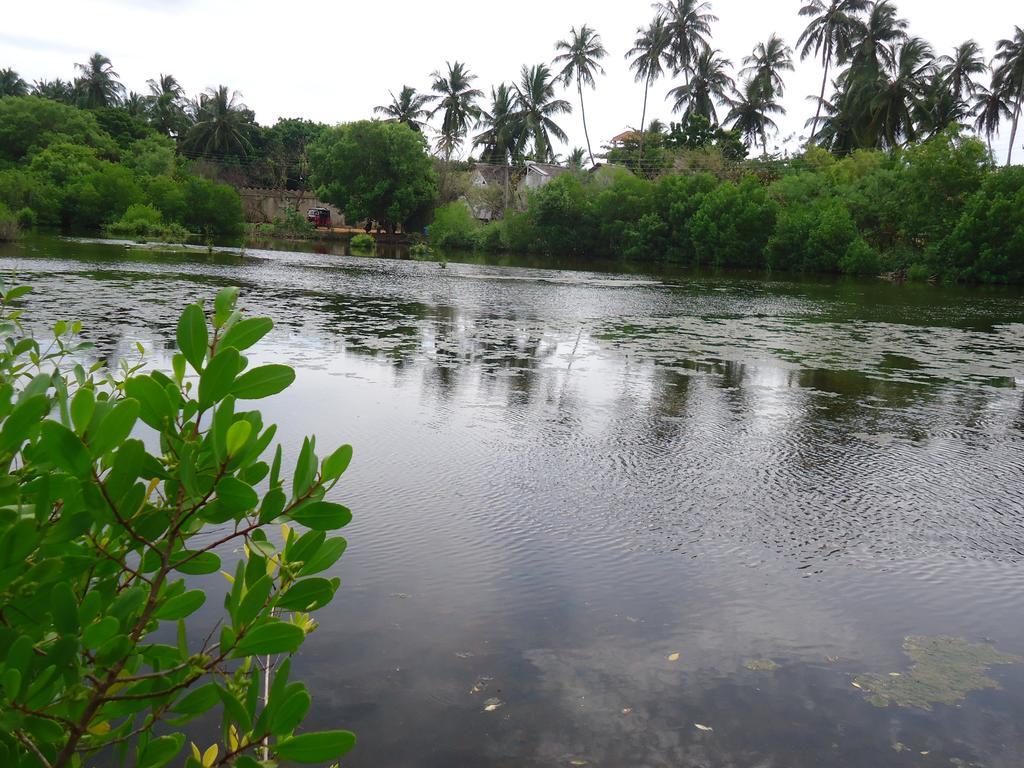 Rock Pool Residence Tangalle Bagian luar foto