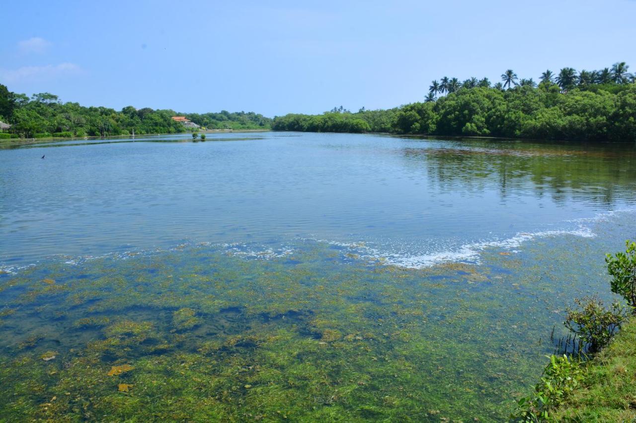 Rock Pool Residence Tangalle Bagian luar foto